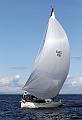 ORCi2 421